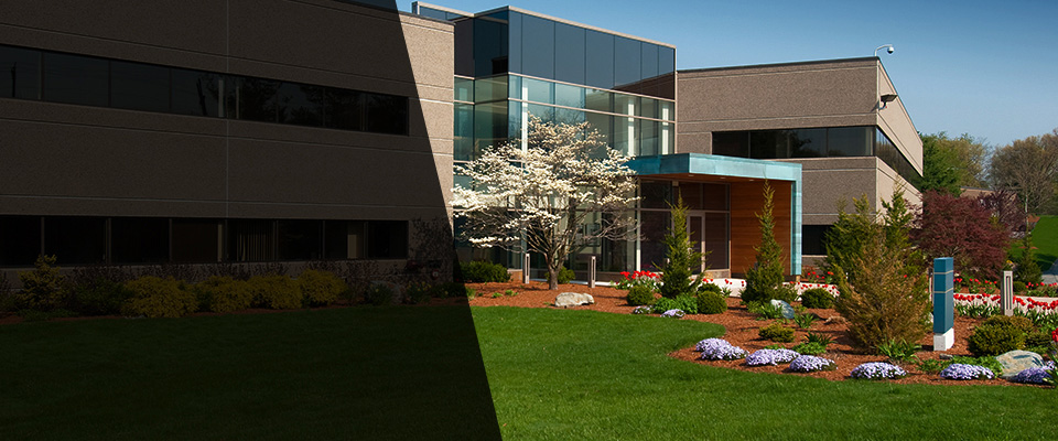 North Weymouth Landscapers